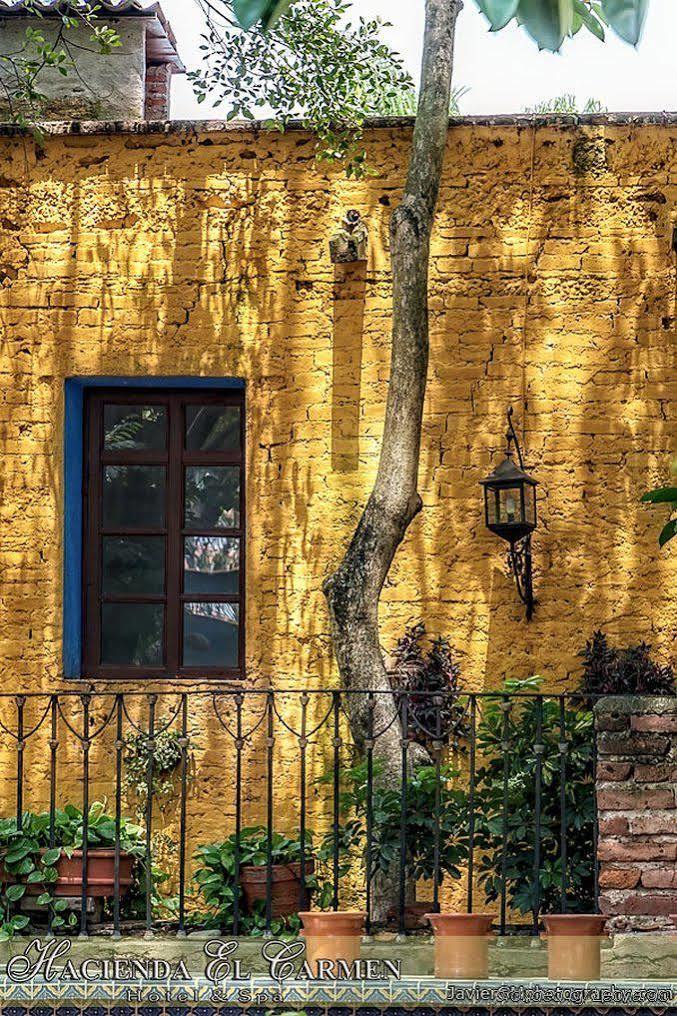 Hacienda El Carmen &