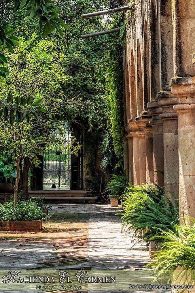 Hacienda El Carmen &