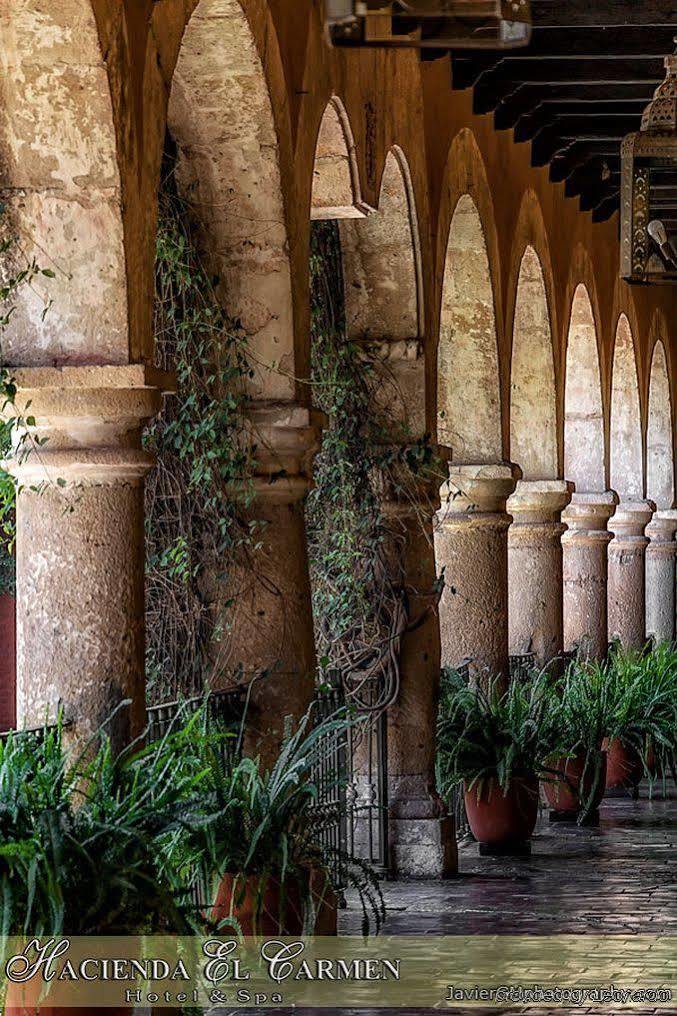 Hotel Hacienda El Carmen &