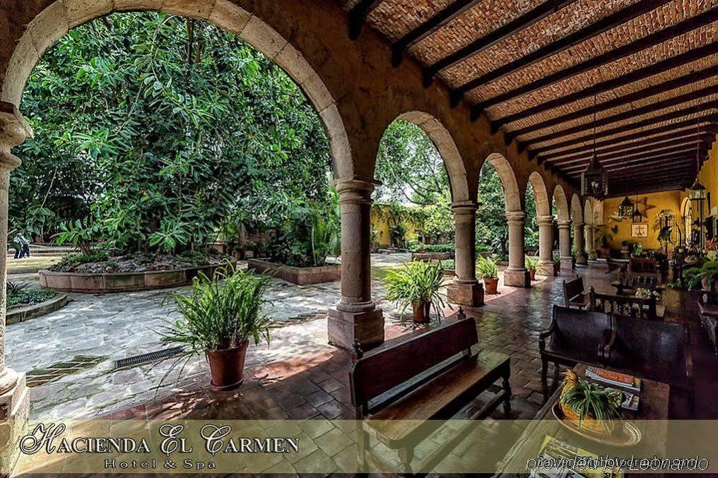 Hacienda El Carmen & 3*