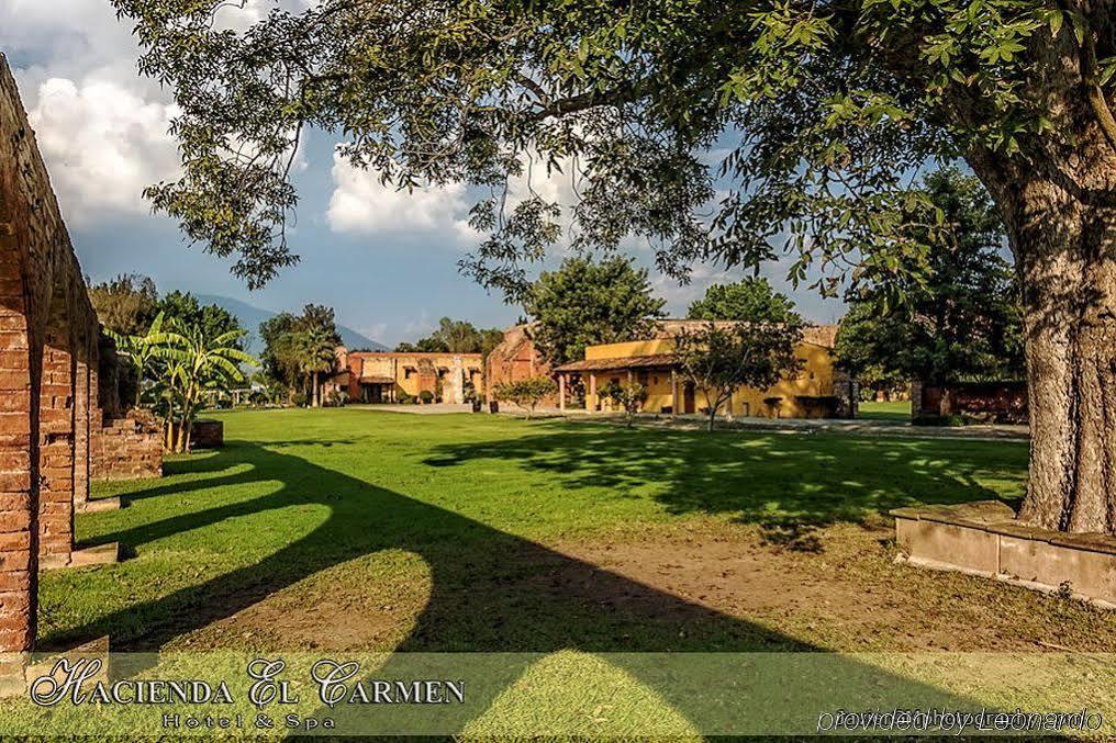 Hacienda El Carmen &