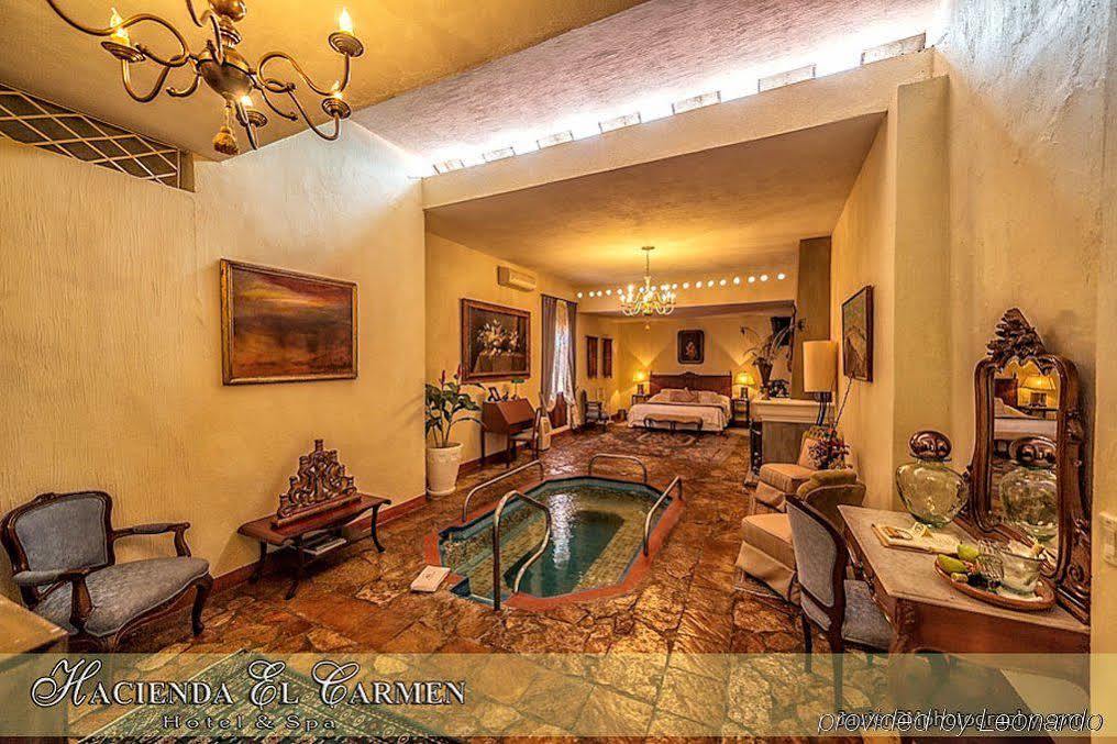 Hotel Hacienda El Carmen &