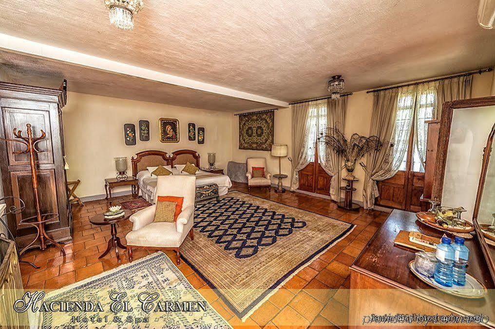 Hotel Hacienda El Carmen & 3*