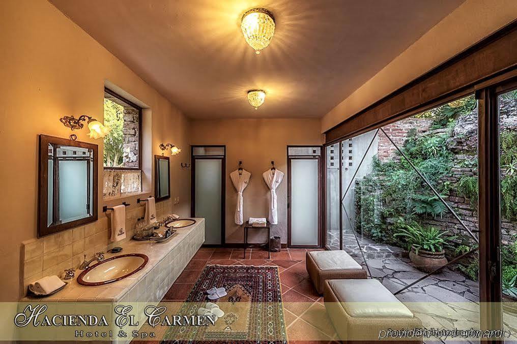 Hotel Hacienda El Carmen & 3*