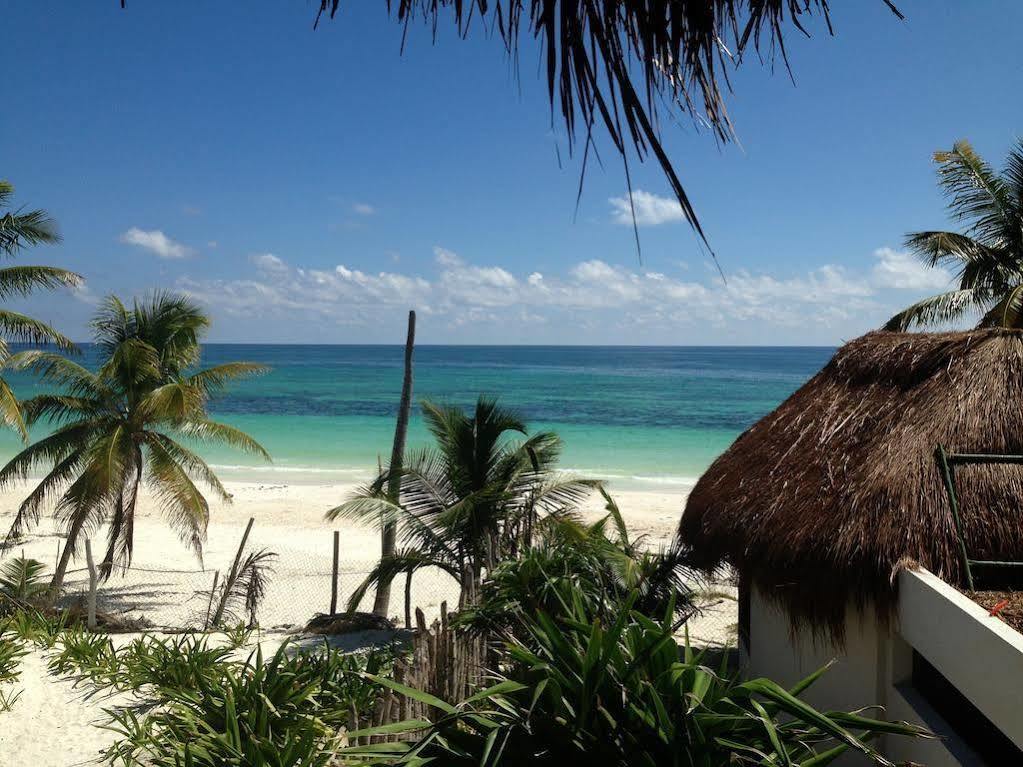 Agua Eco Design Hotel Hotel Tulum
