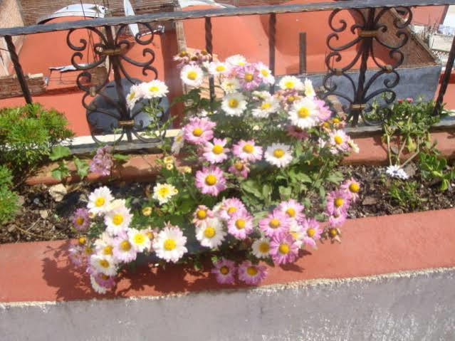 Hotelito 