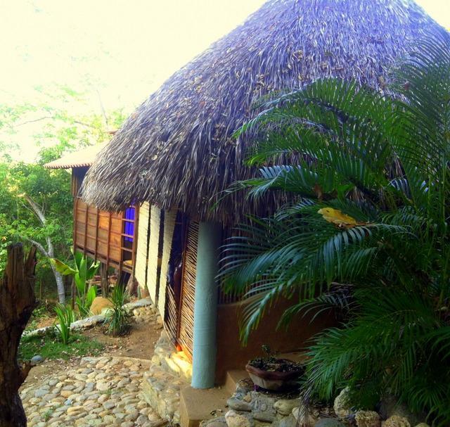 Olivo Mazunte
