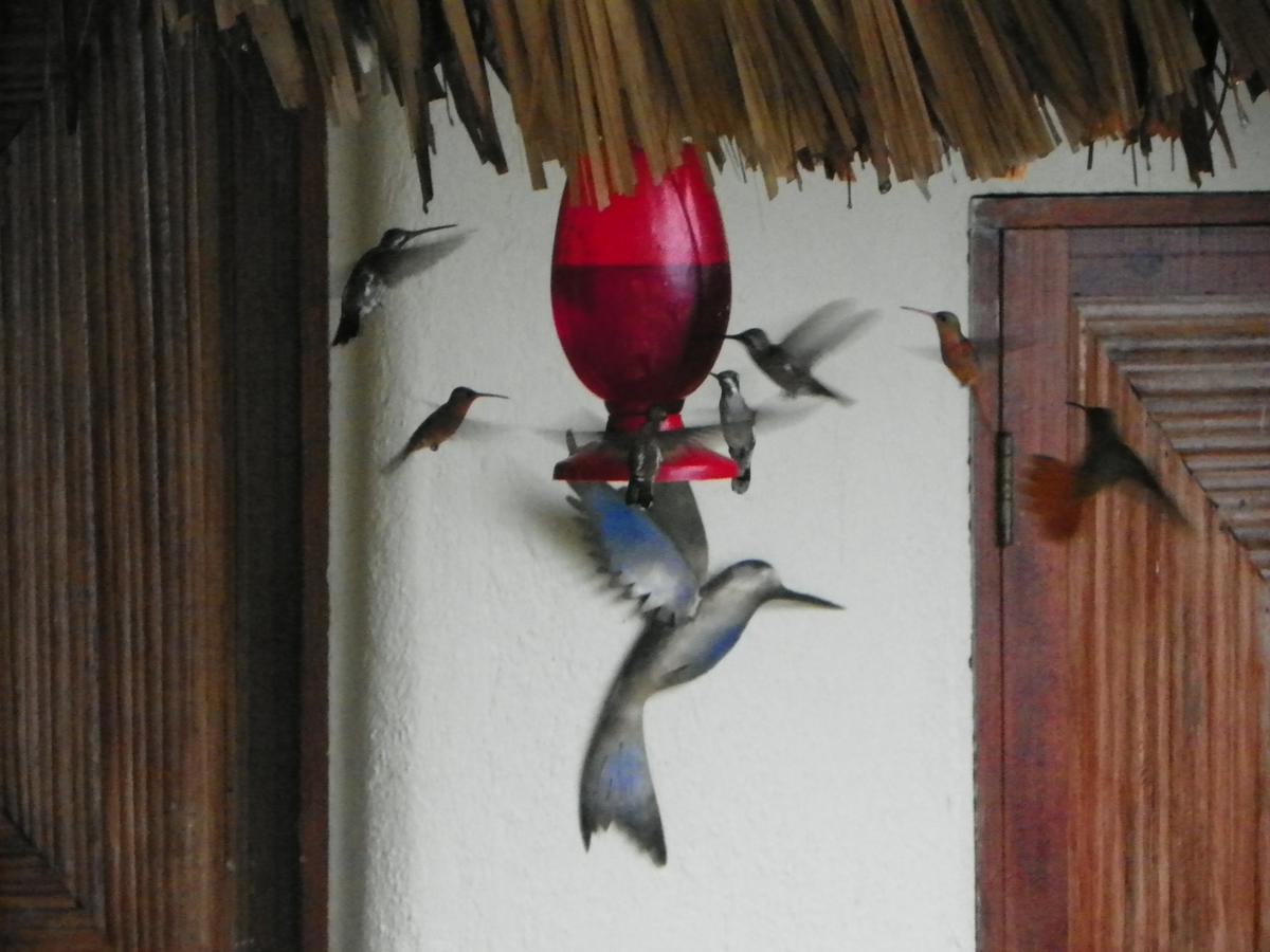 Cinco Sentidos Adult Only Bed & Breakfast