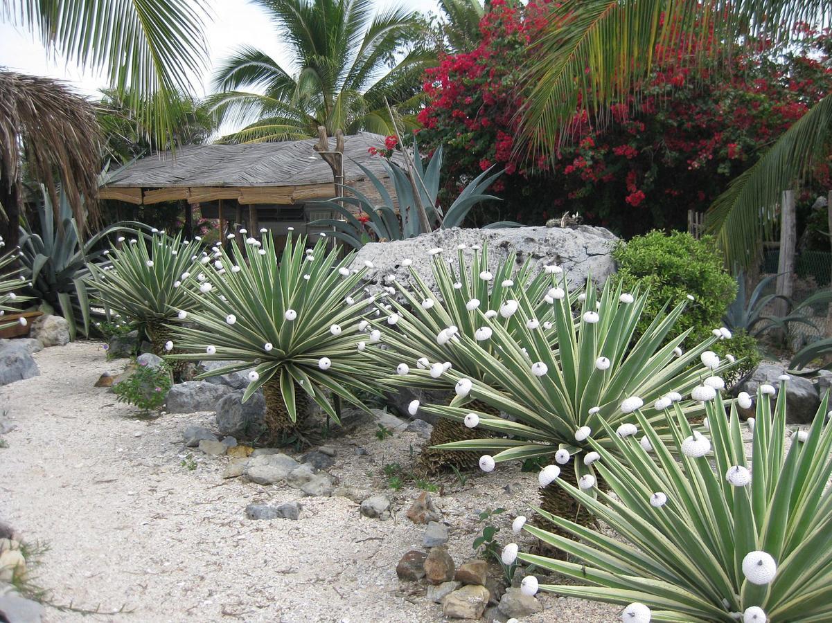 Bed & Breakfast Casa Las Piedras Troncones