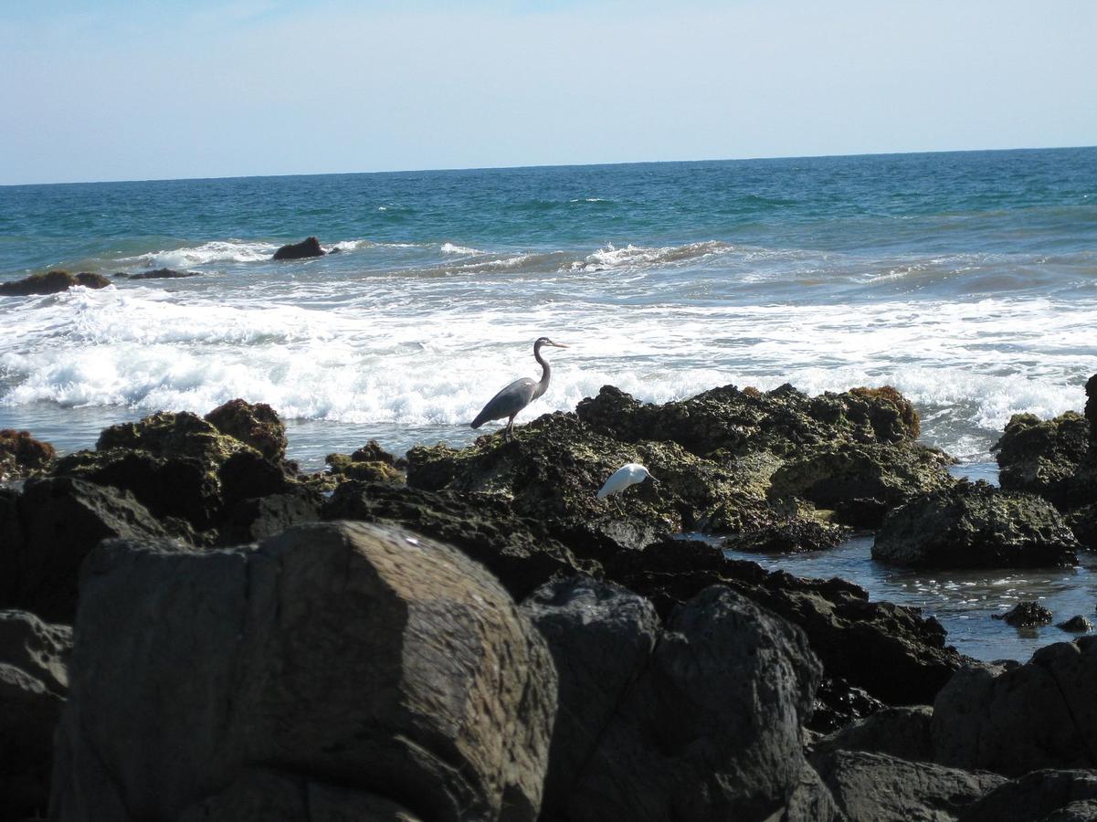 Casa Las Piedras Bed & Breakfast Troncones