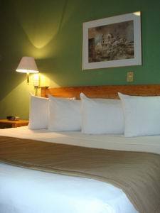 Western Hacienda By Macroplaza Hotel