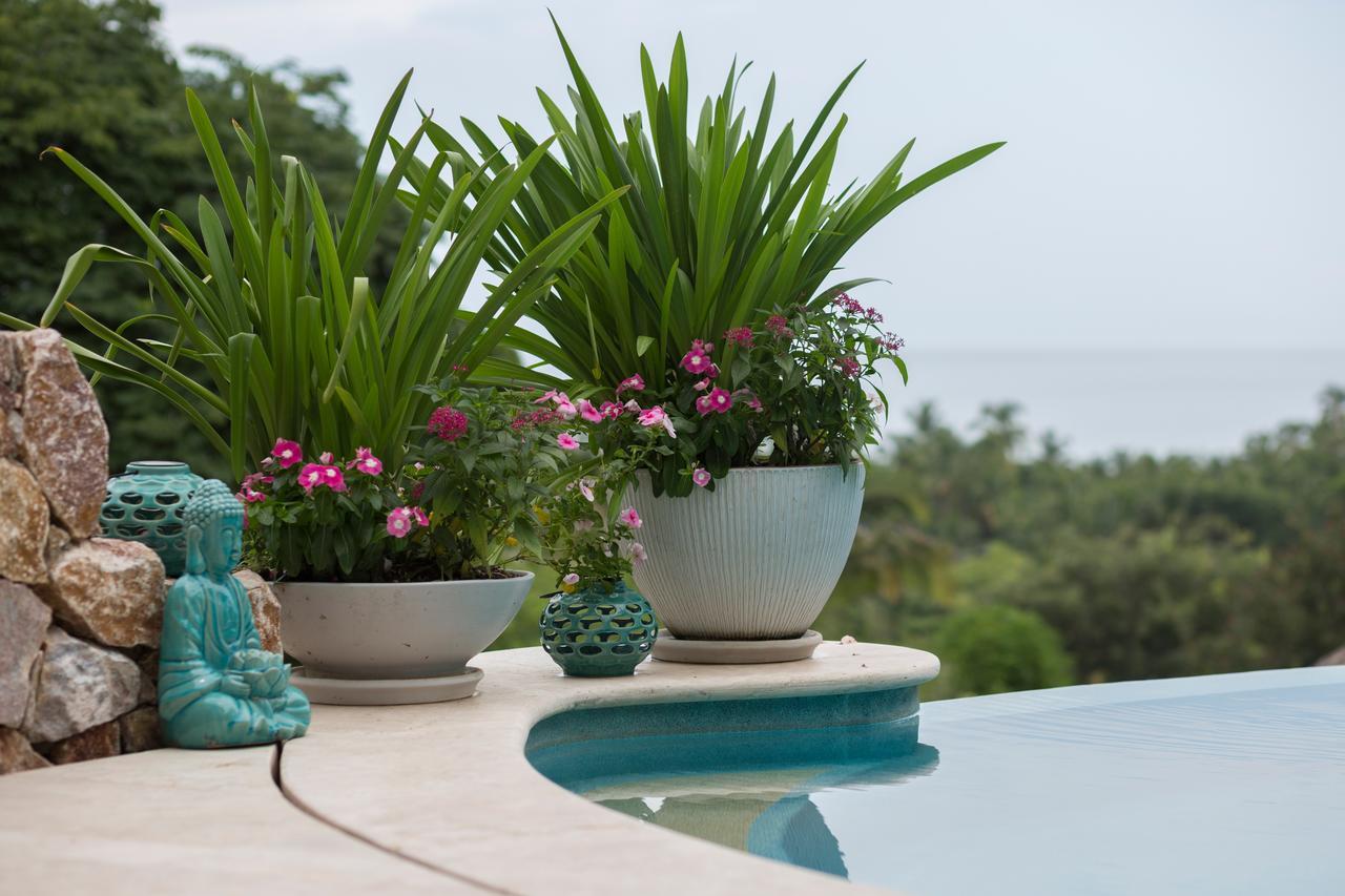 Anjali Casa Divina Hotel Sayulita