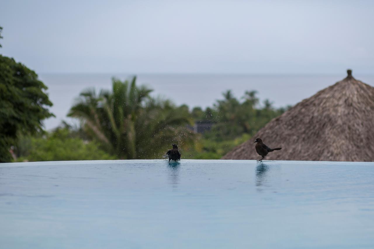 Anjali Casa Divina Sayulita