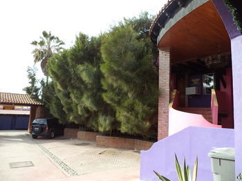 Baja Del Sol Motel