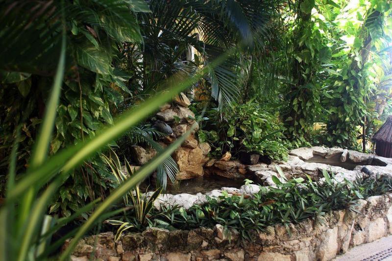 Casa Colibri Hotel Playa del Carmen