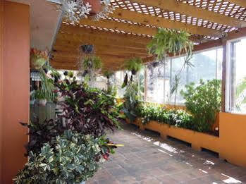 San Jeronimo 4*