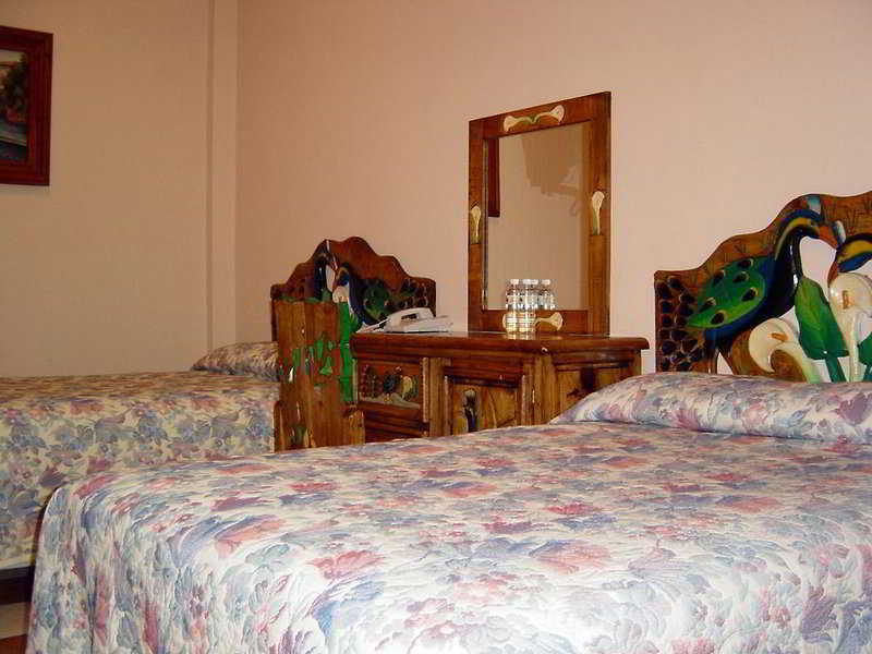 Dona Juana Cecilia Plaza Jalisco 3*