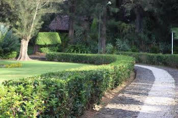 Guest house Quinta Los Pinos 3*