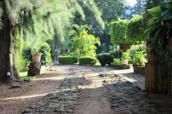 Quinta Los Pinos 3* Tepoztlan