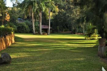 Guest house Quinta Los Pinos 3*