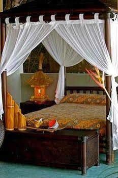 Hotel Casa Pericos 3*