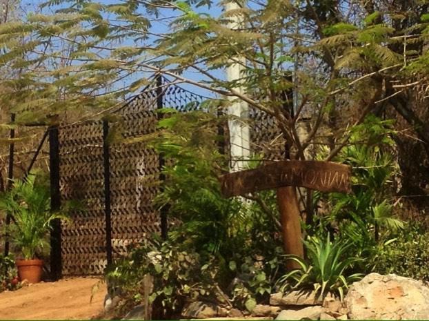 Casa De La Montana * Troncones