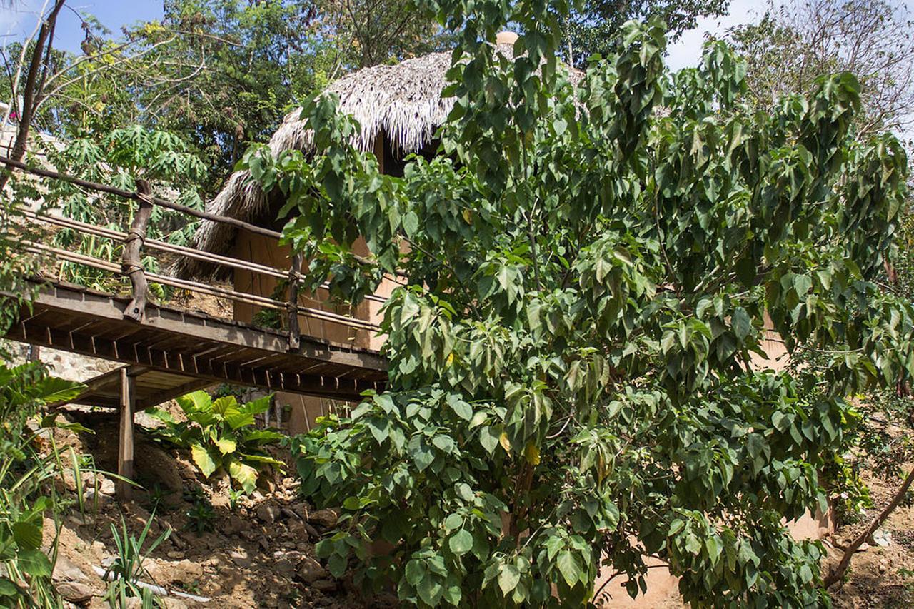 Lodge Las Almas Petit *