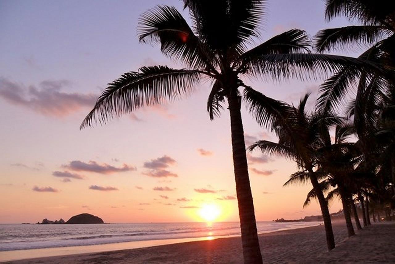 The Monarca Ixtapa (Guerrero)