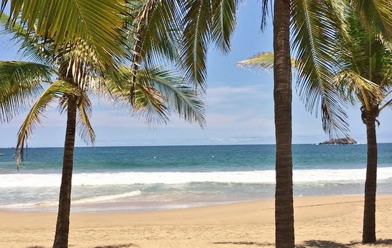 The Monarca * Ixtapa (Guerrero)
