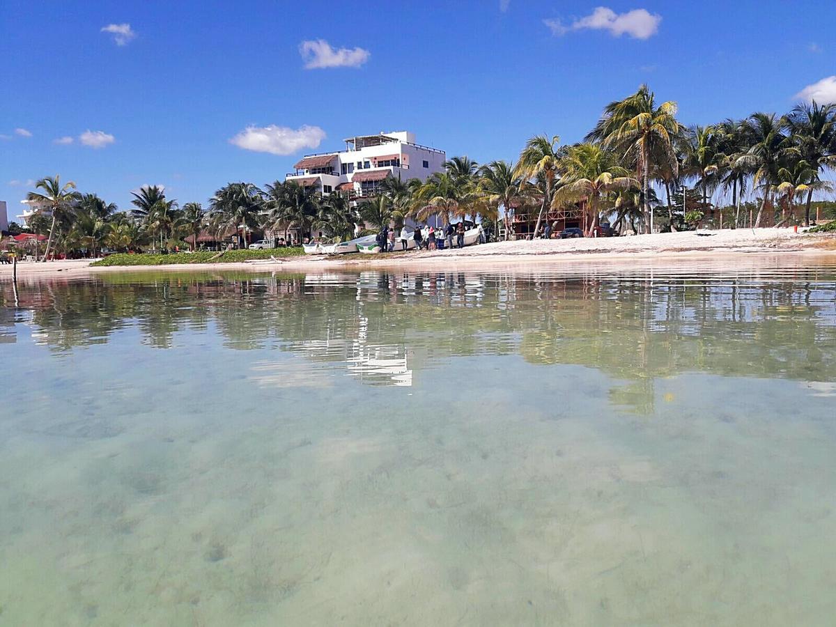 Palmeras De Lodge *
