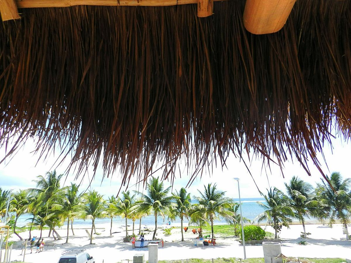 Lodge Palmeras De *