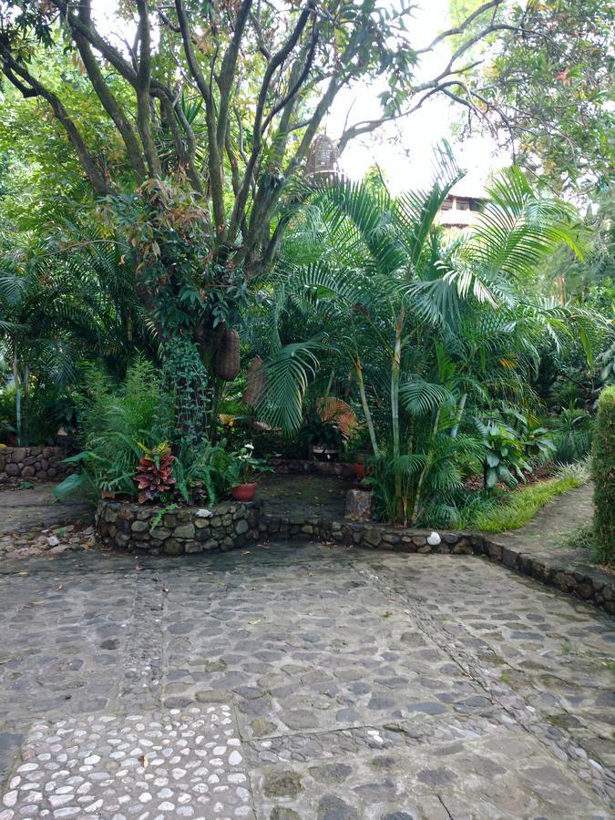 Casa D'lobo Boutique Bed & Breakfast 3*