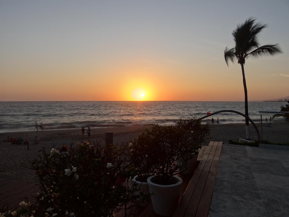 Icon Vallarta *