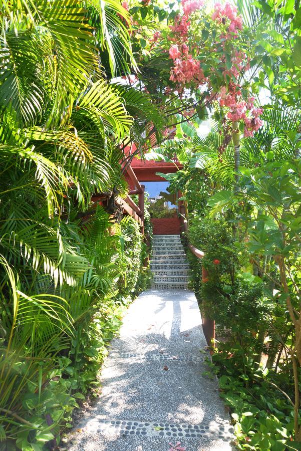 Hotel Aura Del Mar Zihuatanejo