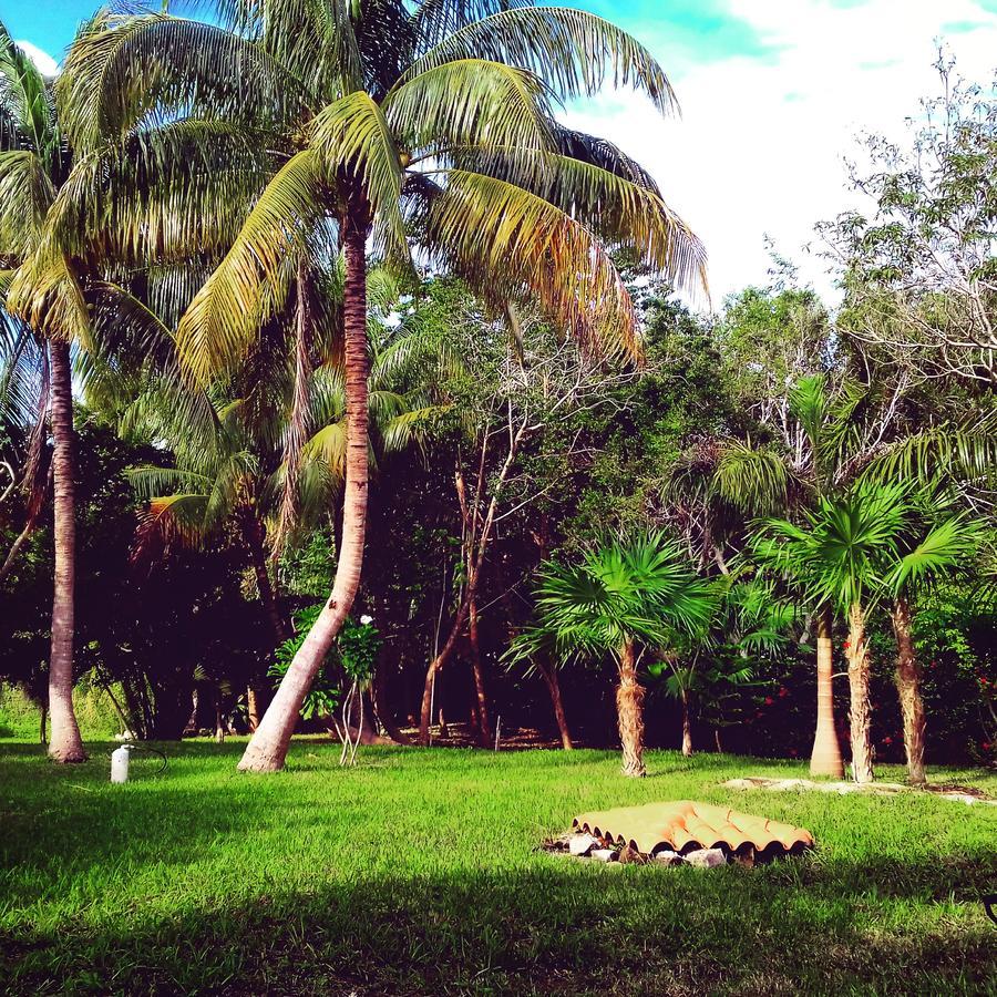 Casa Kin33 Bed & Breakfast Cancun