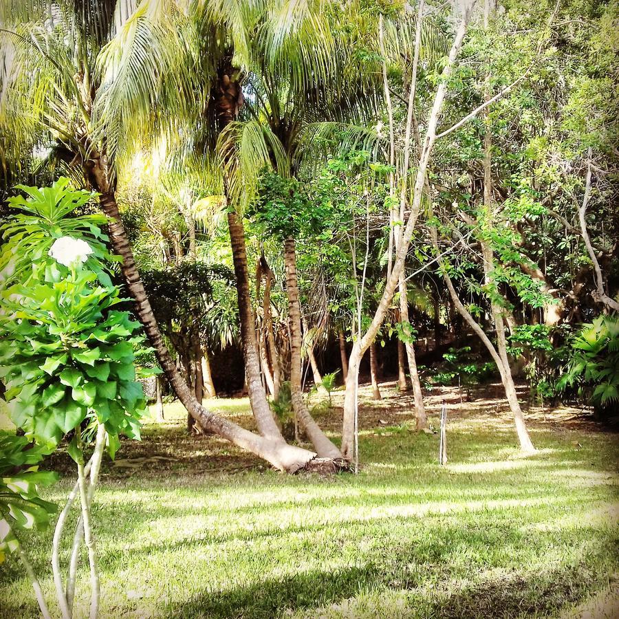 Casa Kin33 Bed & Breakfast