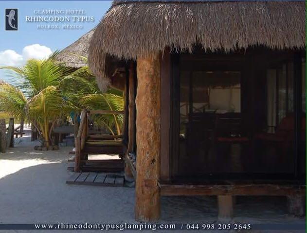 Hotel Rhincodon Typus Isla Holbox