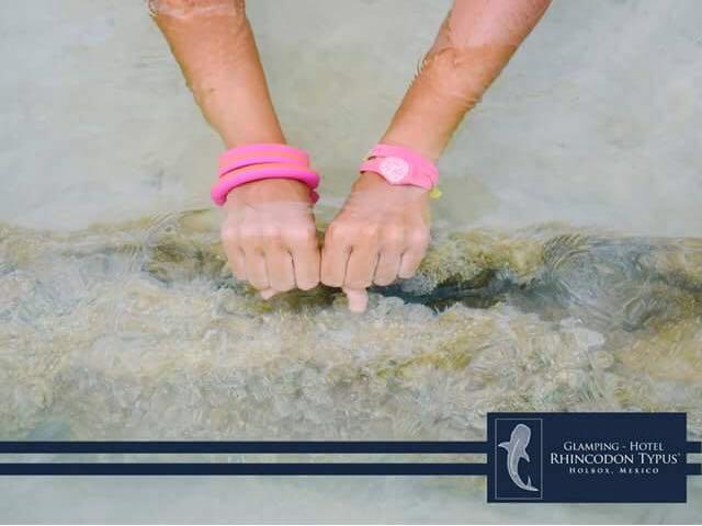 Hotel Rhincodon Typus Isla Holbox
