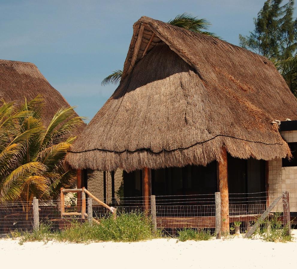 Rhincodon Typus 4* Isla Holbox
