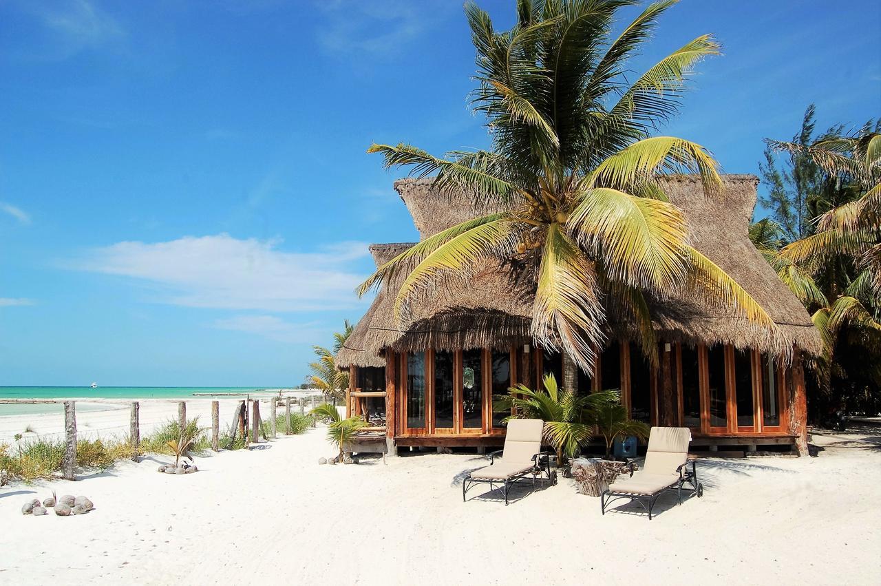 Rhincodon Typus Hotel Isla Holbox