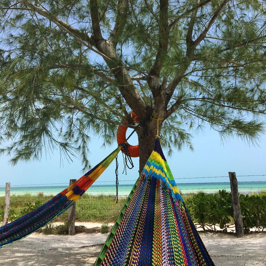 Rhincodon Typus 4* Isla Holbox