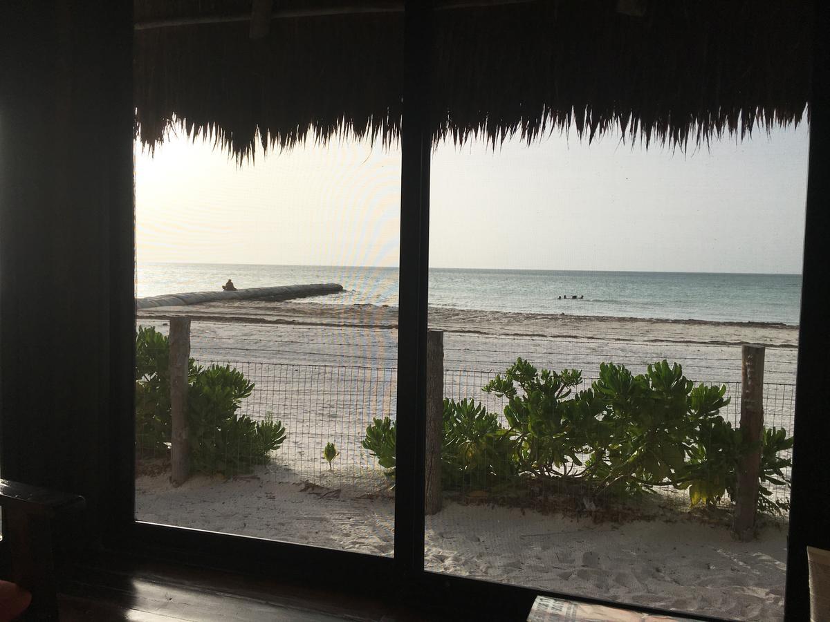 Rhincodon Typus Hotel Isla Holbox
