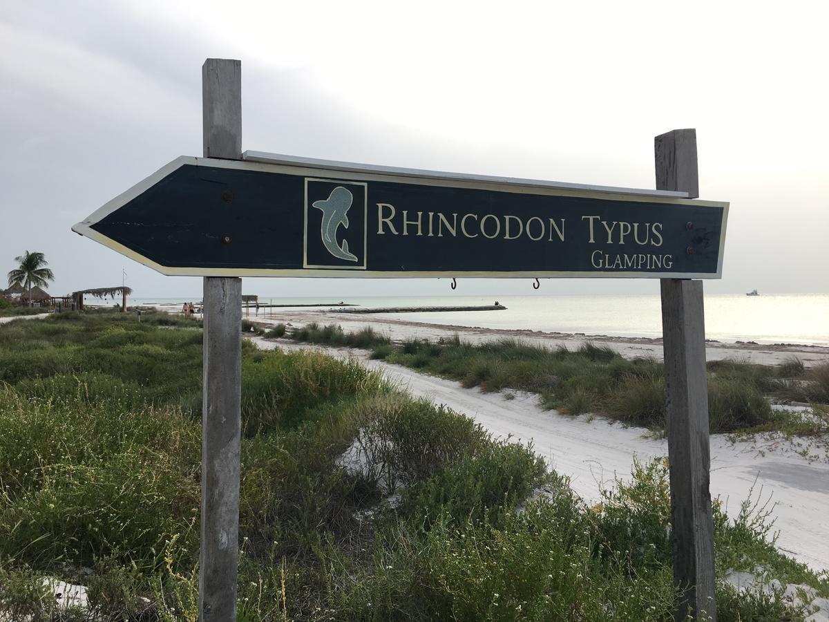 Hotel Rhincodon Typus 4*
