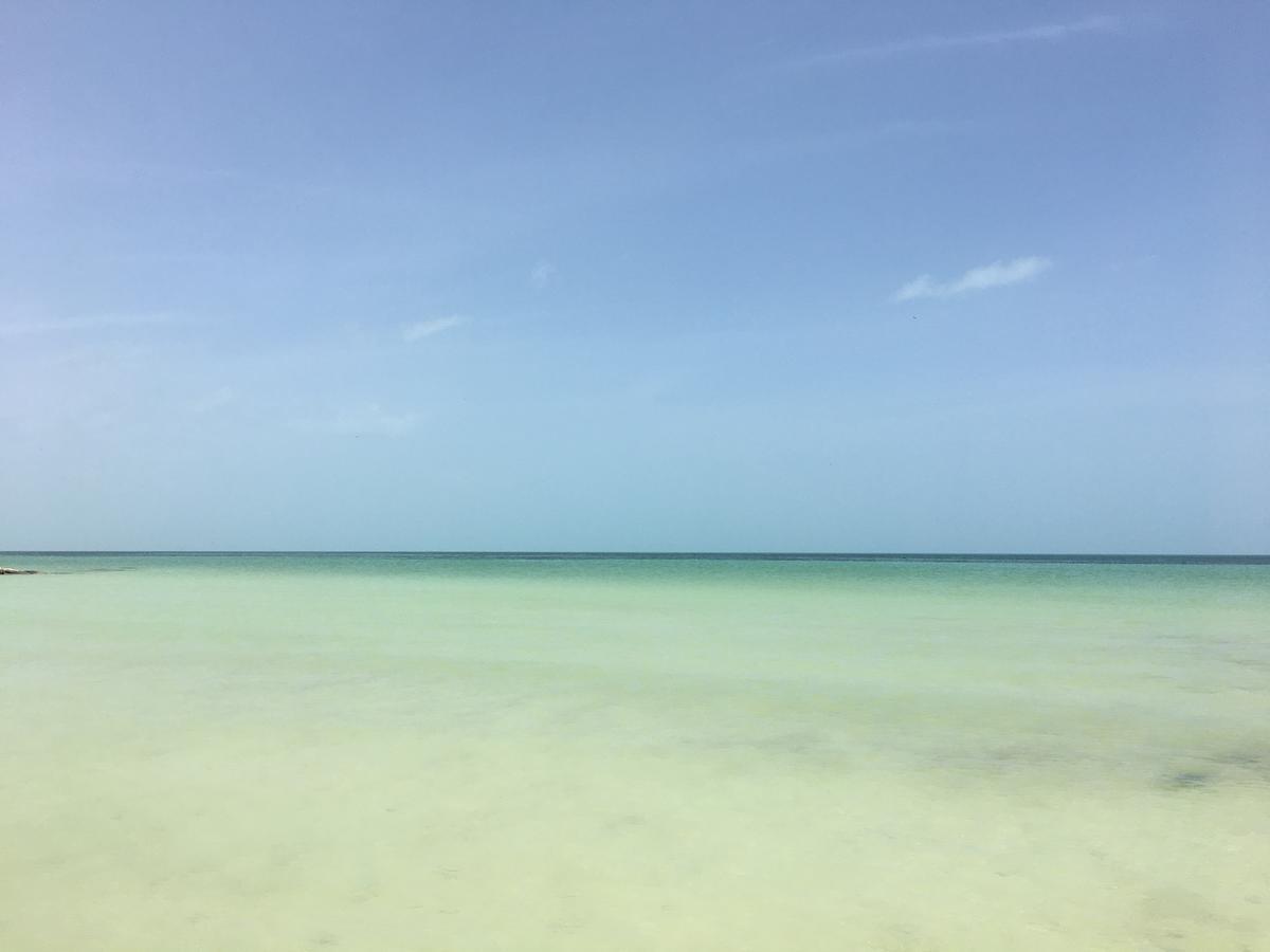 Hotel Rhincodon Typus 4*