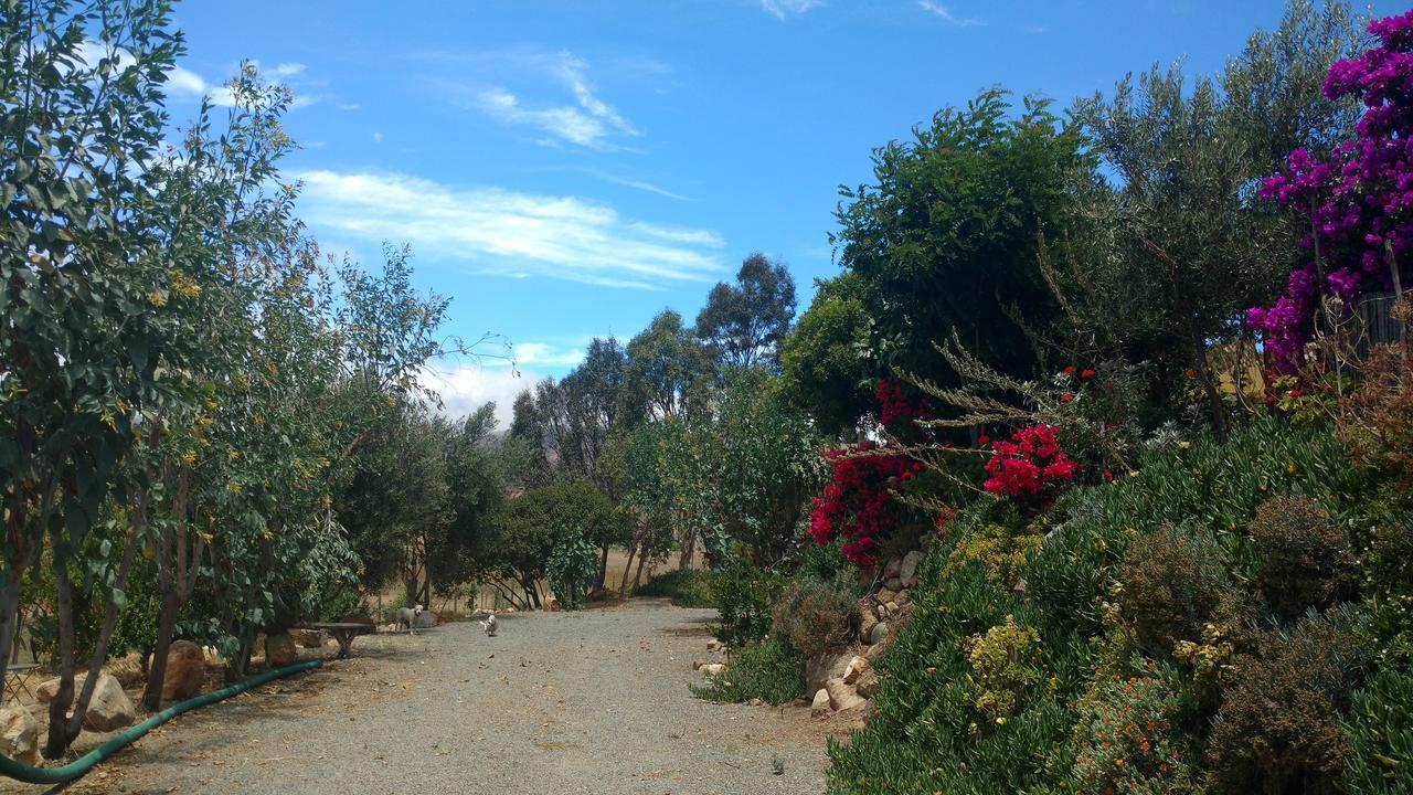 Vinofilia Wine Country Inn