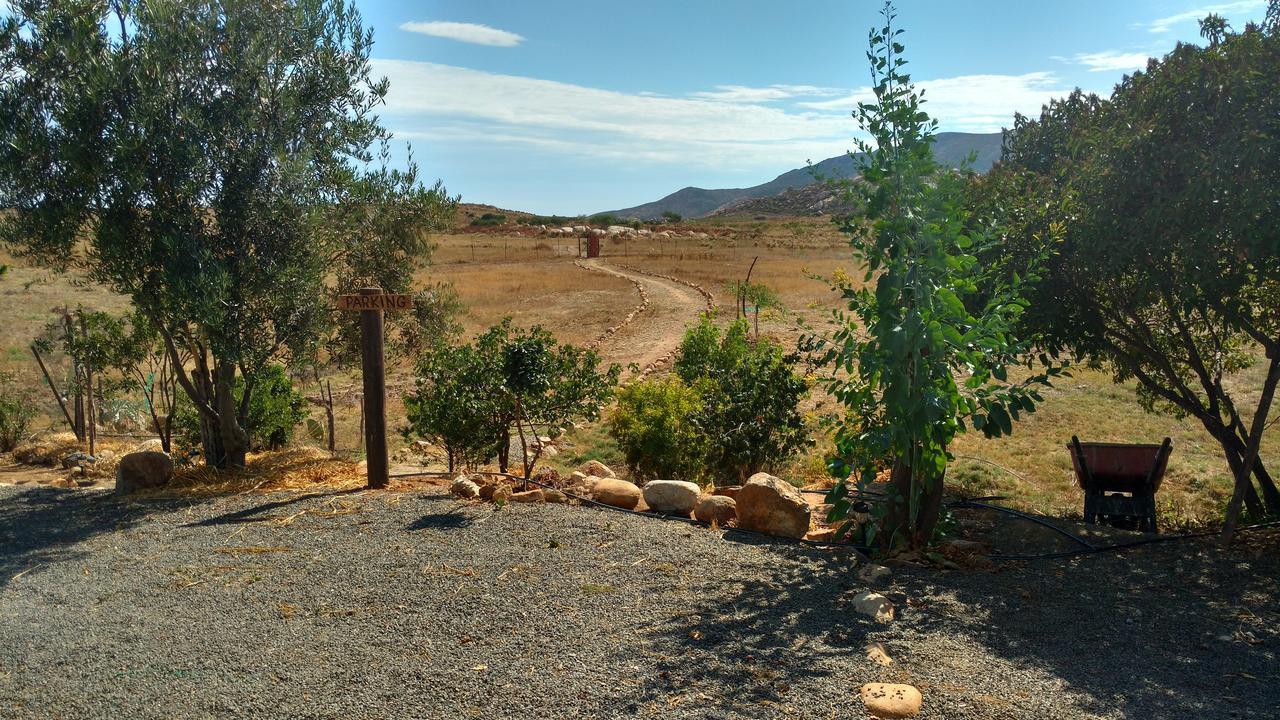 Vinofilia Wine Country 3*