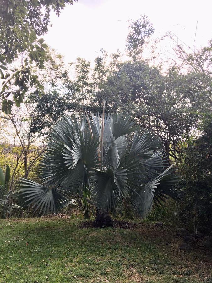 Carrizal Spa Apazapan