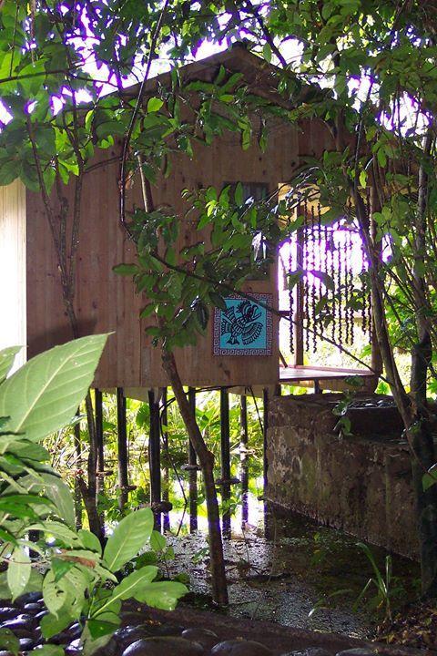 Reserva Ecologica Nanciyaga 3* Catemaco