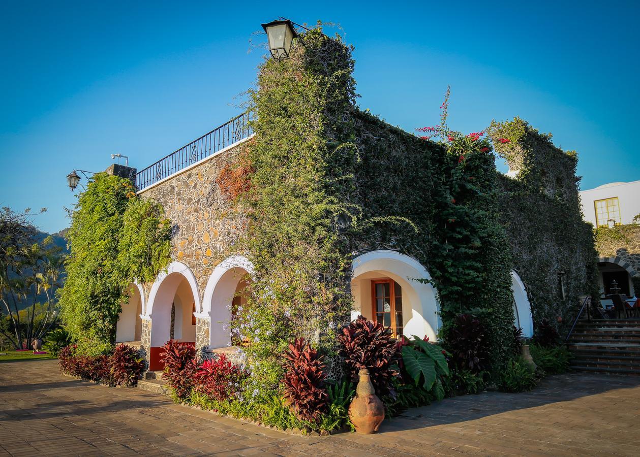 Del Tepozteco - & Gallery Tepoztlan