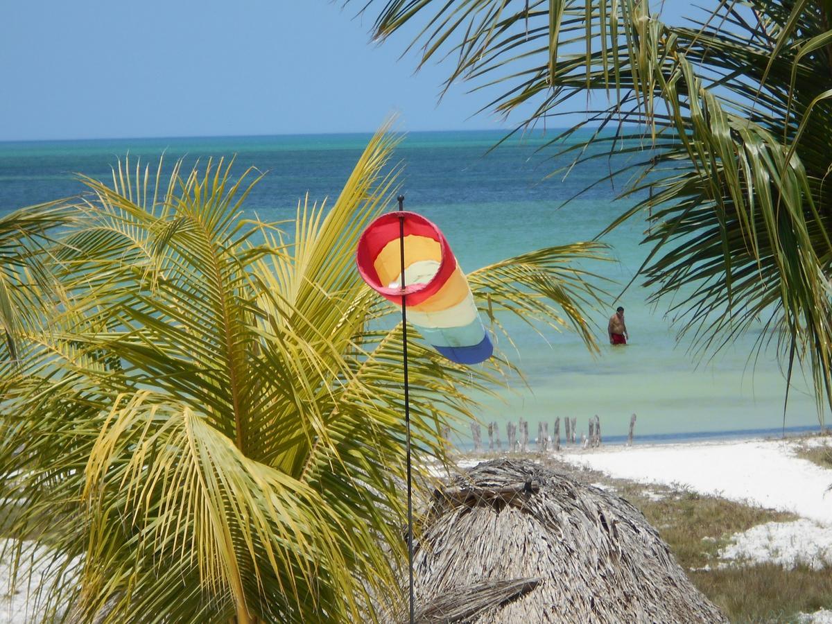 & Suites 3* Isla Holbox